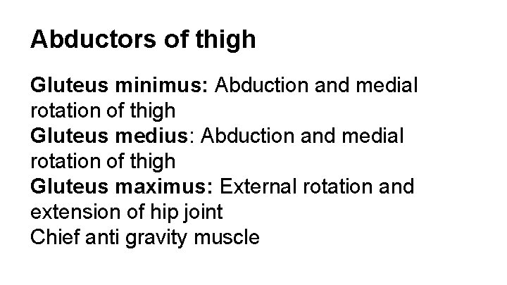 Abductors of thigh Gluteus minimus: Abduction and medial rotation of thigh Gluteus medius: Abduction