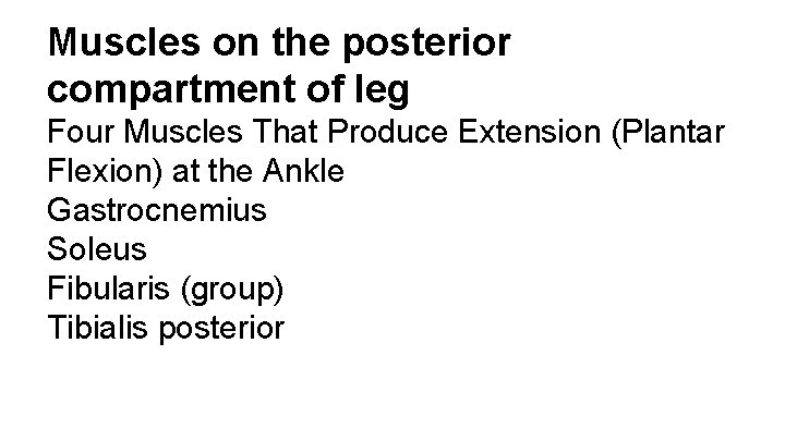 Muscles on the posterior compartment of leg Four Muscles That Produce Extension (Plantar Flexion)