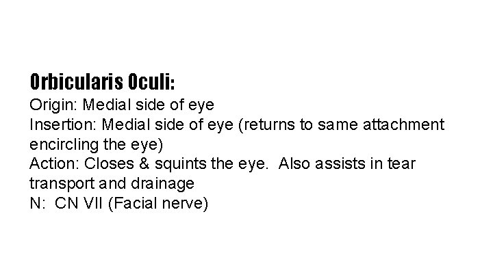 Orbicularis Oculi: Origin: Medial side of eye Insertion: Medial side of eye (returns to