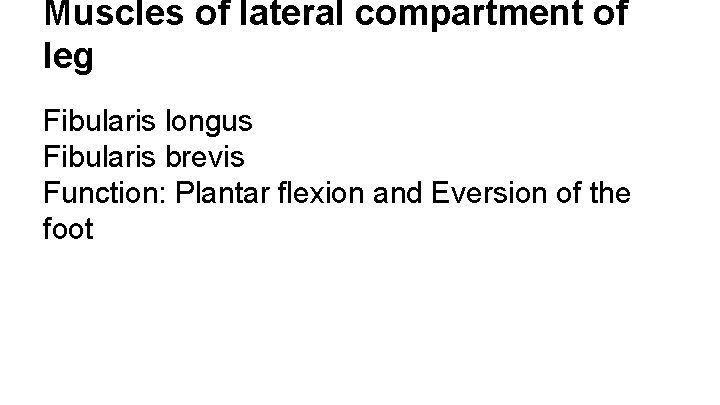 Muscles of lateral compartment of leg Fibularis longus Fibularis brevis Function: Plantar flexion and