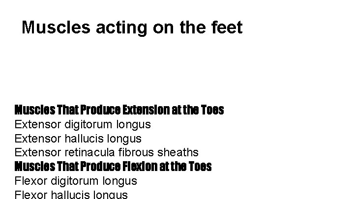 Muscles acting on the feet Muscles That Produce Extension at the Toes Extensor digitorum