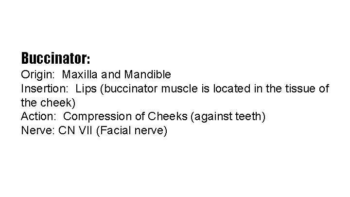 Buccinator: Origin: Maxilla and Mandible Insertion: Lips (buccinator muscle is located in the tissue