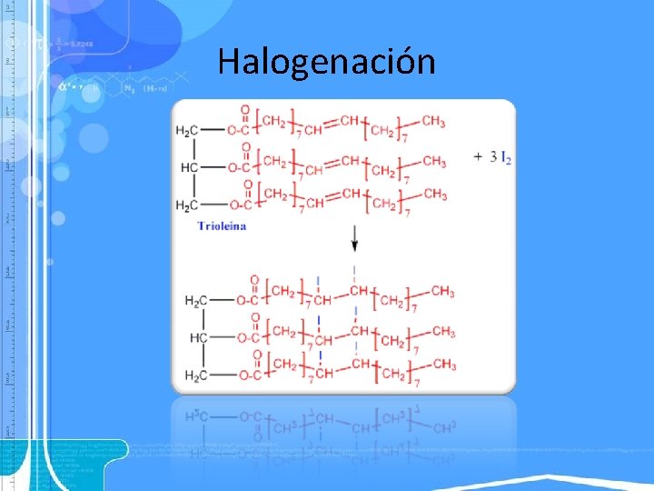 Halogenación 
