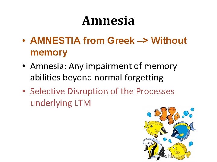 Amnesia • AMNESTIA from Greek –> Without memory • Amnesia: Any impairment of memory