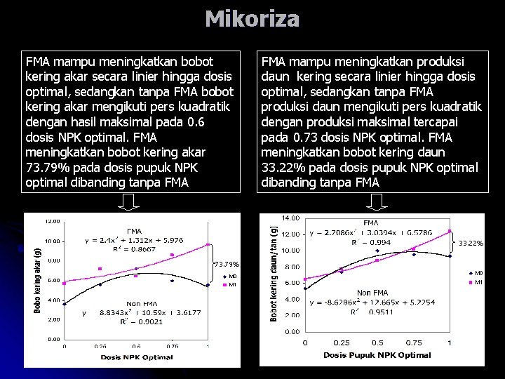 Mikoriza FMA mampu meningkatkan bobot kering akar secara linier hingga dosis optimal, sedangkan tanpa