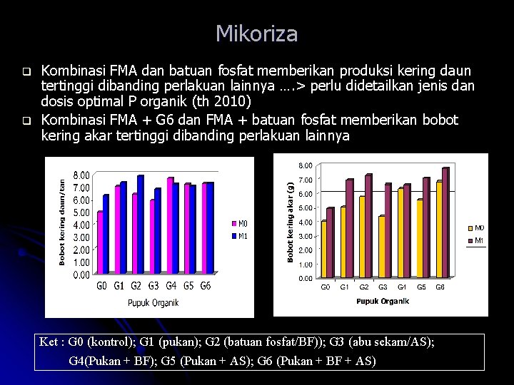 Mikoriza q q Kombinasi FMA dan batuan fosfat memberikan produksi kering daun tertinggi dibanding
