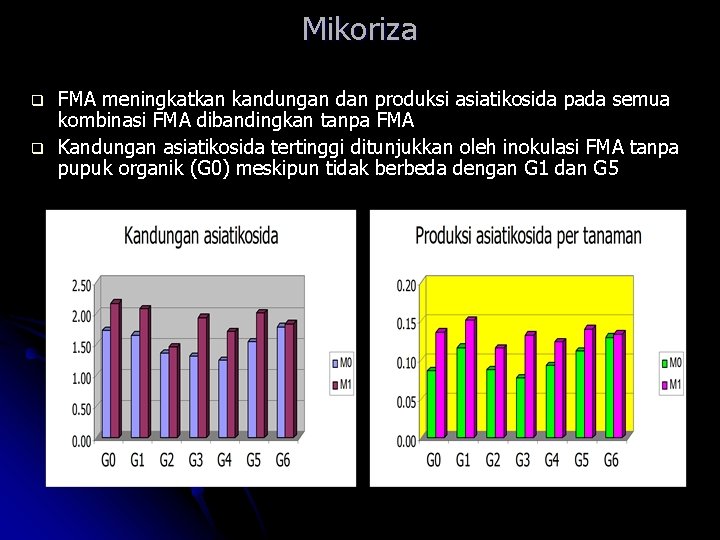 Mikoriza q q FMA meningkatkan kandungan dan produksi asiatikosida pada semua kombinasi FMA dibandingkan