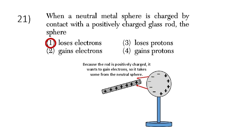 21) Because the rod is positively charged, it wants to gain electrons, so it