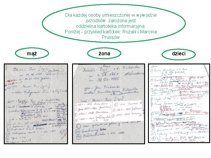 Dla każdej osoby umieszczonej w wywodzie przodków założona jest oddzielna kartoteka informacyjna. Poniżej -