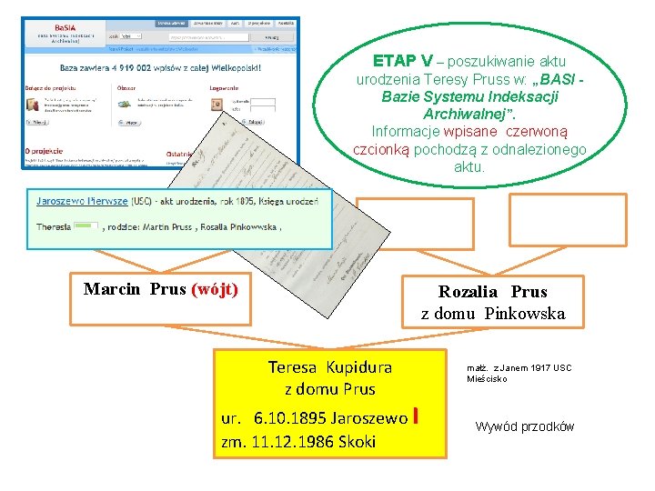 ETAP V – poszukiwanie aktu urodzenia Teresy Pruss w: „BASI Bazie Systemu Indeksacji Archiwalnej”.