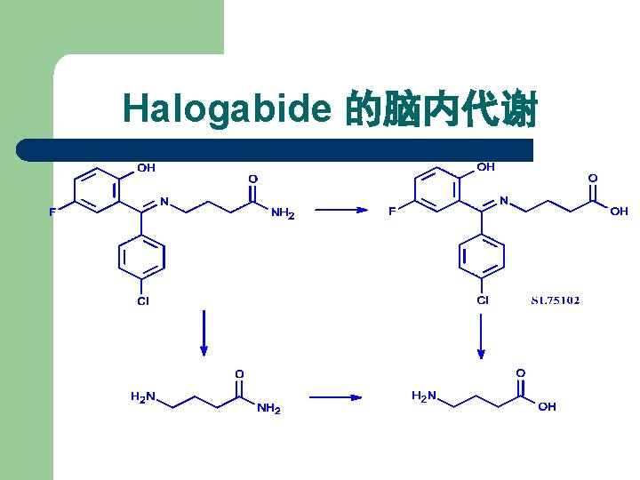 Halogabide 的脑内代谢 