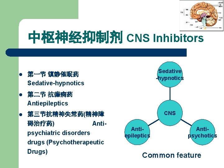 中枢神经抑制剂 CNS Inhibitors l 第一节 镇静催眠药 Sedative-hypnotics l 第二节 抗癫痫药 Antiepileptics l 第三节抗精神失常药(精神障 碍治疗药)