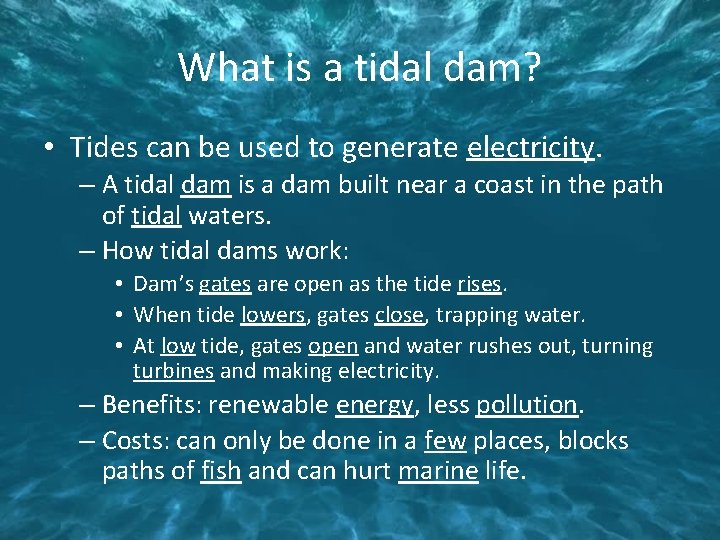 What is a tidal dam? • Tides can be used to generate electricity. –