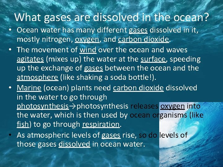 What gases are dissolved in the ocean? • Ocean water has many different gases