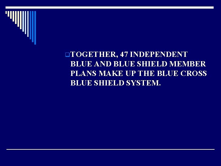 q TOGETHER, 47 INDEPENDENT BLUE AND BLUE SHIELD MEMBER PLANS MAKE UP THE BLUE
