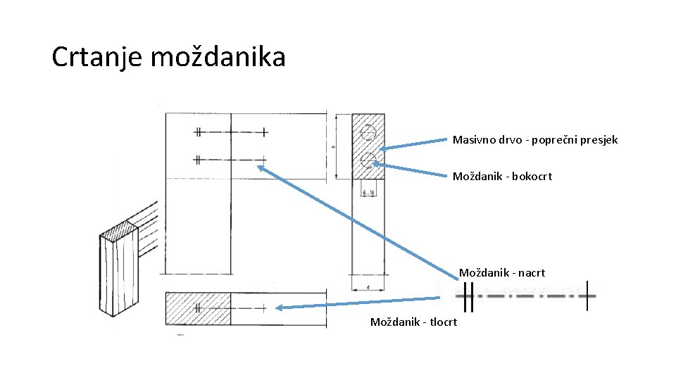 Crtanje moždanika Masivno drvo - poprečni presjek Moždanik - bokocrt Moždanik - nacrt Moždanik Crtanje moždanika Masivno drvo - poprečni presjek Moždanik - bokocrt Moždanik - nacrt Moždanik