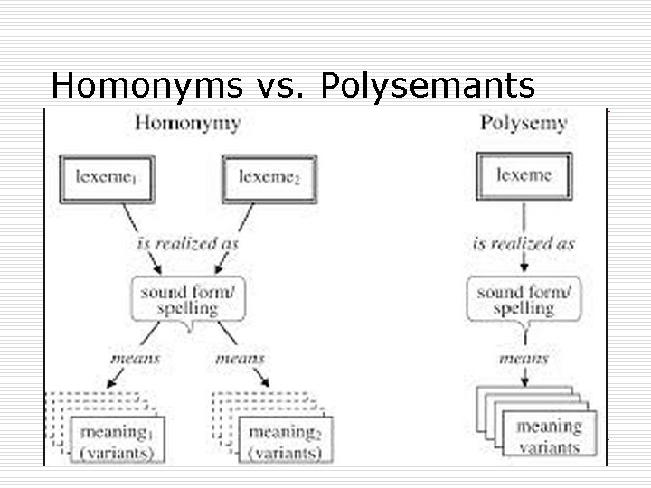 Homonyms vs. Polysemants 