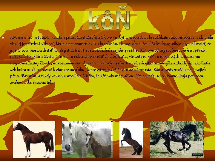 n Kôň nie je vec. Je to živá , neustále pulzujúca duša , ktorá