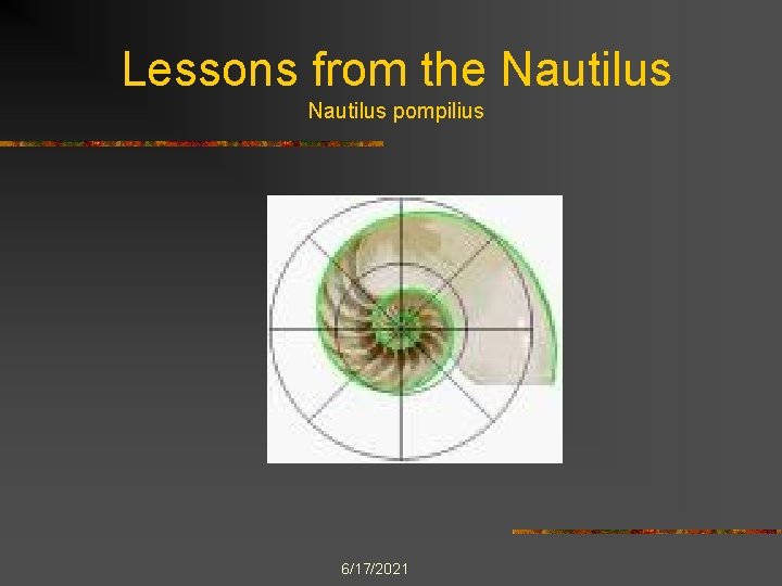 Lessons from the Nautilus pompilius 6/17/2021 