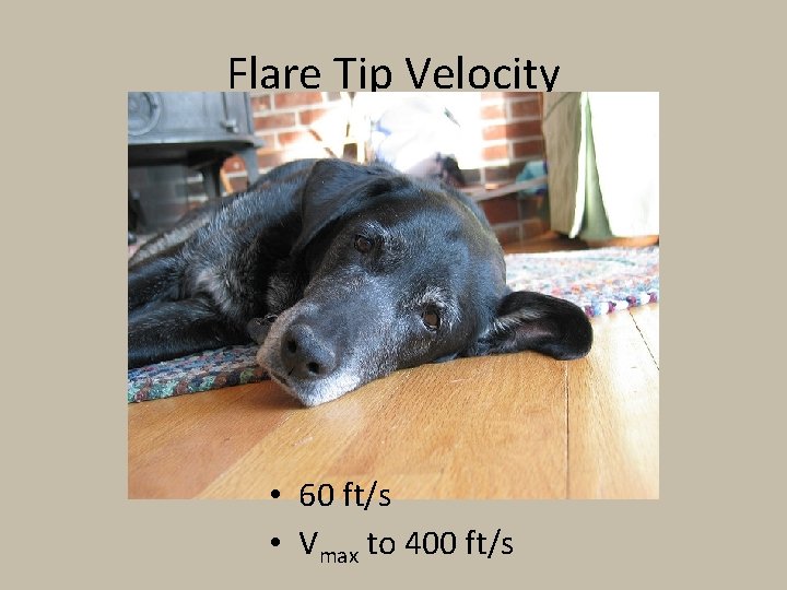 Flare Tip Velocity • 60 ft/s • Vmax to 400 ft/s 