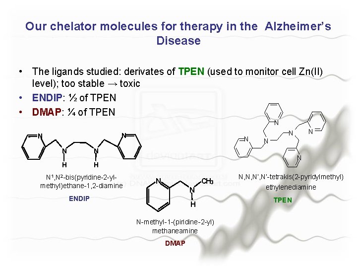 Our chelator molecules for therapy in the Alzheimer’s Disease • The ligands studied: derivates