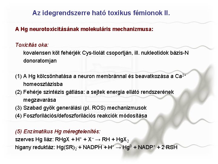 Az idegrendszerre ható toxikus fémionok II. A Hg neurotoxicitásának molekuláris mechanizmusa: Toxicitás oka: kovalensen