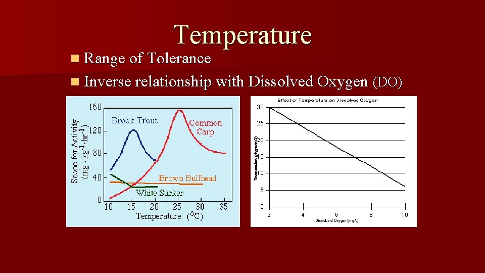 Temperature n Range of Tolerance n Inverse relationship with Dissolved Oxygen (DO) 