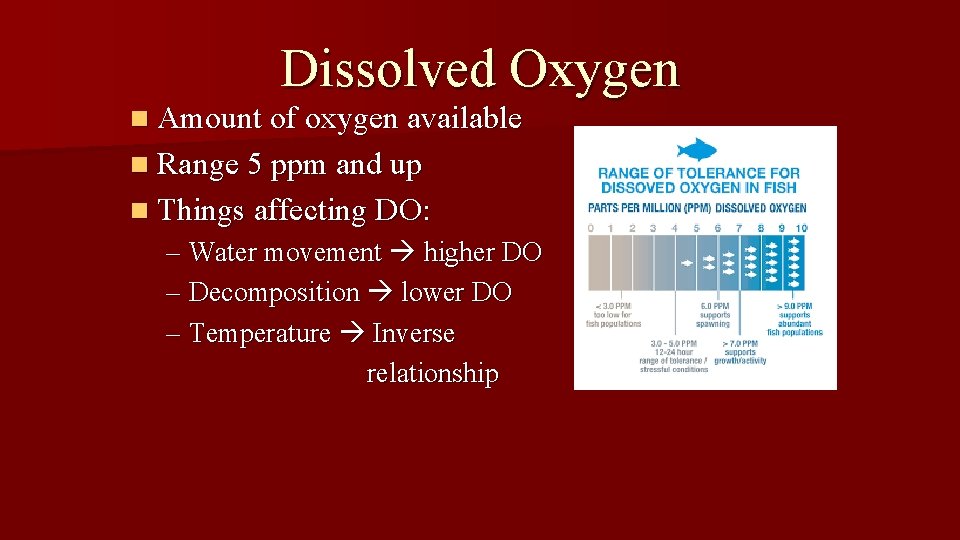 Dissolved Oxygen n Amount of oxygen available n Range 5 ppm and up n