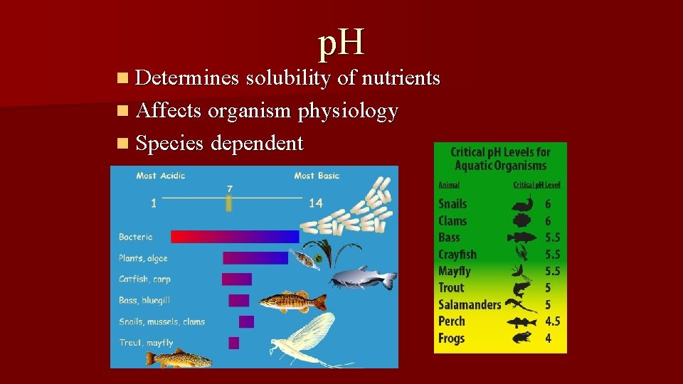 p. H n Determines solubility of nutrients n Affects organism physiology n Species dependent