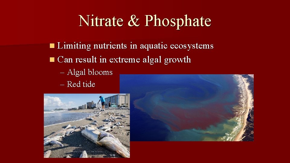 Nitrate & Phosphate n Limiting nutrients in aquatic ecosystems n Can result in extreme