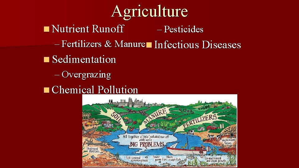 Agriculture n Nutrient Runoff – Pesticides – Fertilizers & Manuren Infectious Diseases n Sedimentation