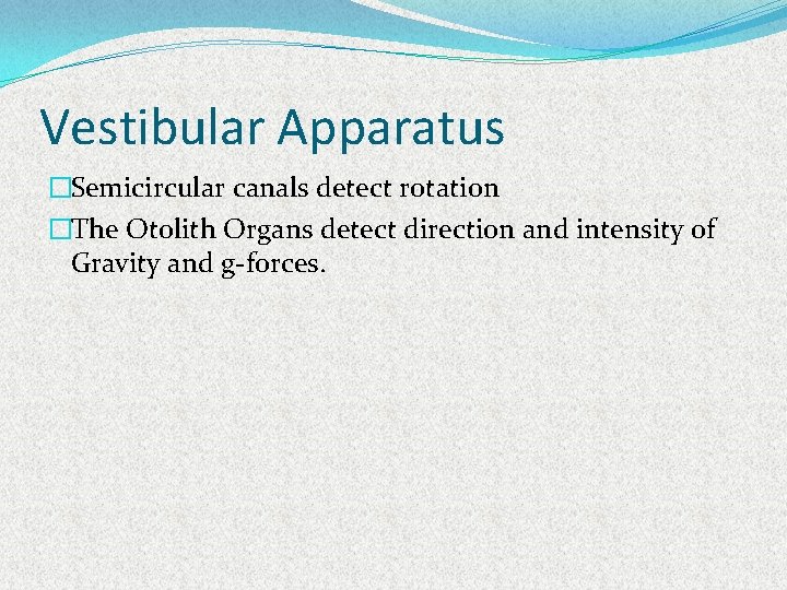 Vestibular Apparatus �Semicircular canals detect rotation �The Otolith Organs detect direction and intensity of