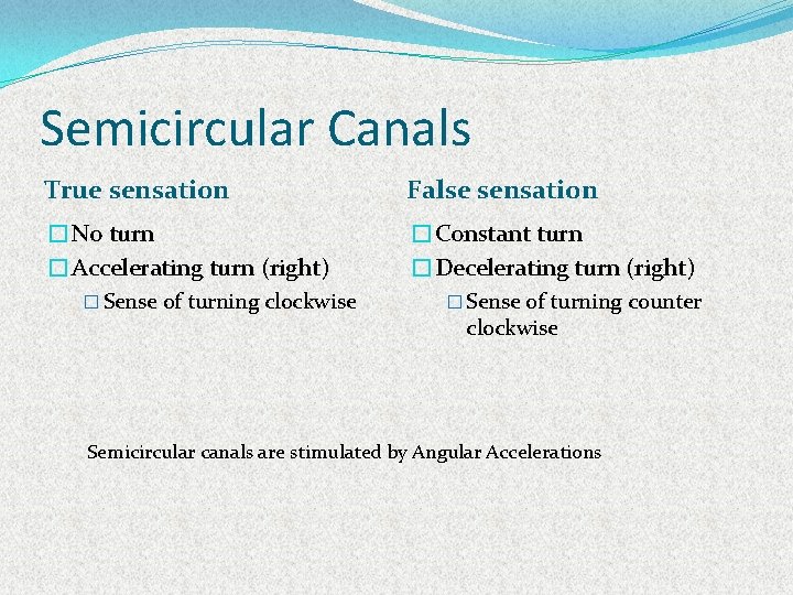 Semicircular Canals True sensation False sensation �No turn �Accelerating turn (right) �Constant turn �Decelerating