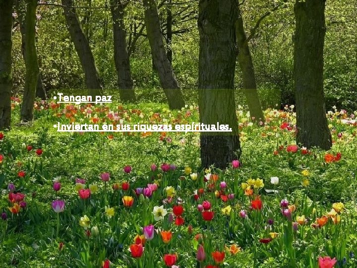  • Tengan paz • Inviertan en sus riquezas espírituales. 