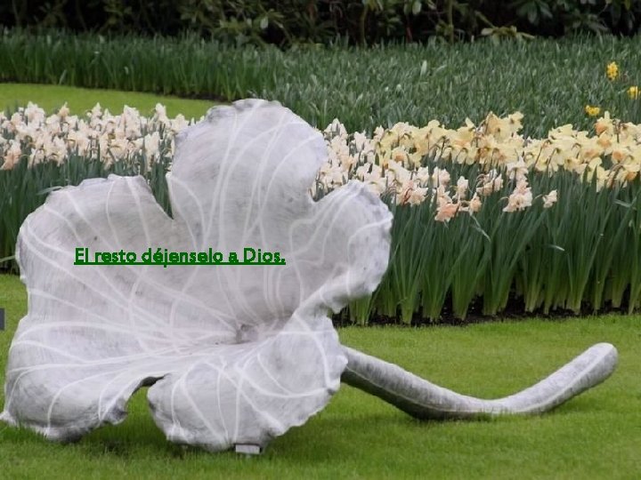 El resto déjenselo a Dios. 