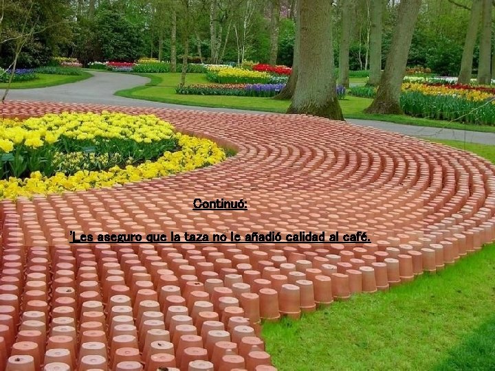 Continuó: 'Les aseguro que la taza no le añadió calidad al café. 