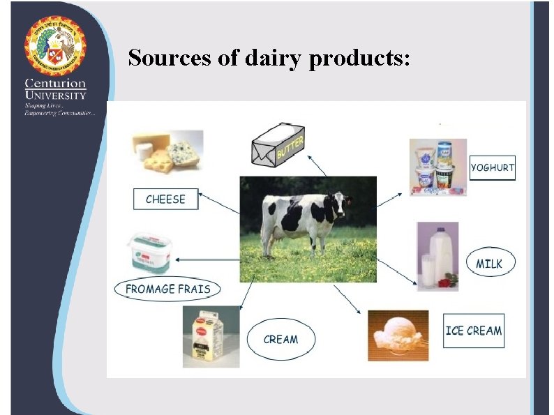 Sources of dairy products: 