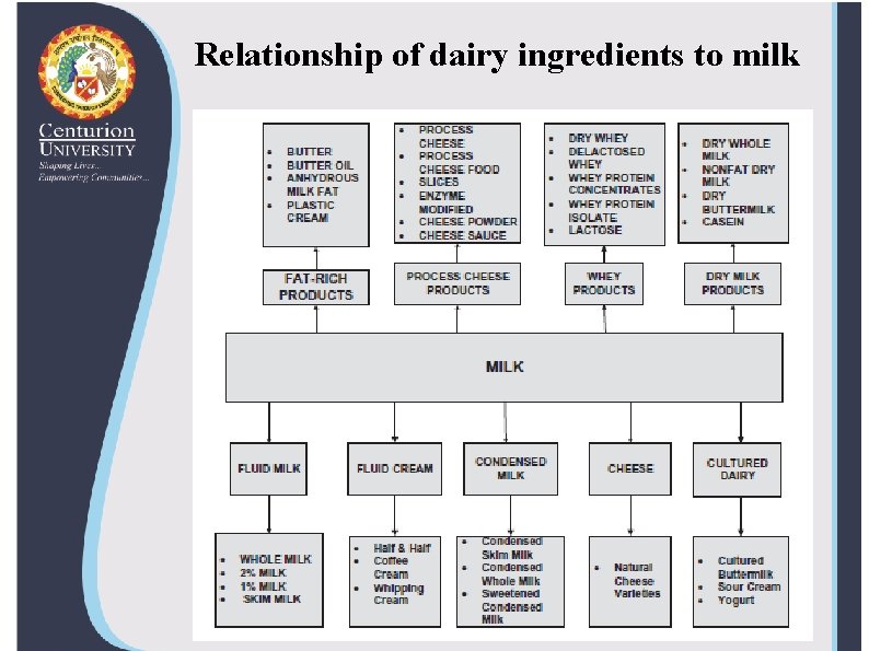 Relationship of dairy ingredients to milk 