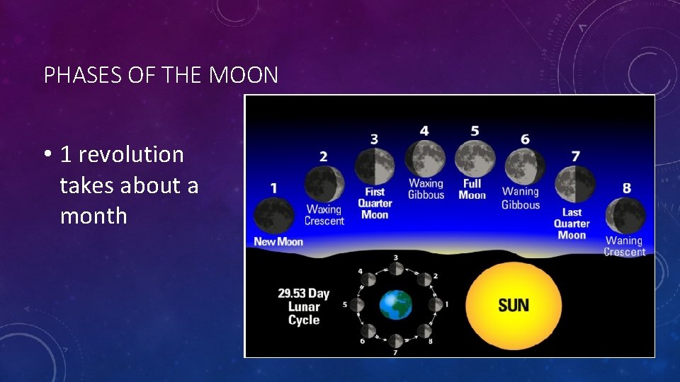 PHASES OF THE MOON • 1 revolution takes about a month 