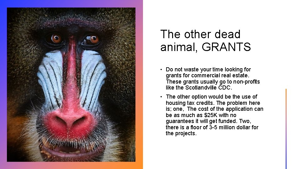 The other dead animal, GRANTS • Do not waste your time looking for grants