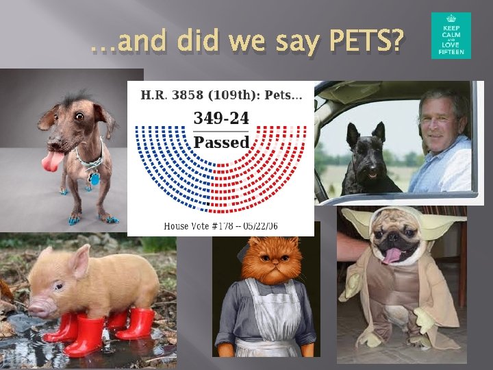 …and did we say PETS? 