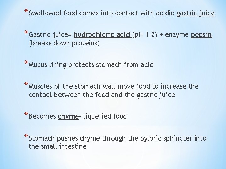 *Swallowed food comes into contact with acidic gastric juice *Gastric juice= hydrochloric acid (p.
