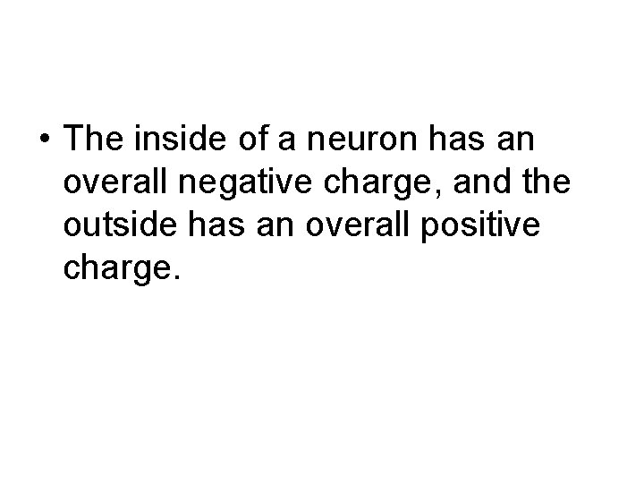  • The inside of a neuron has an overall negative charge, and the