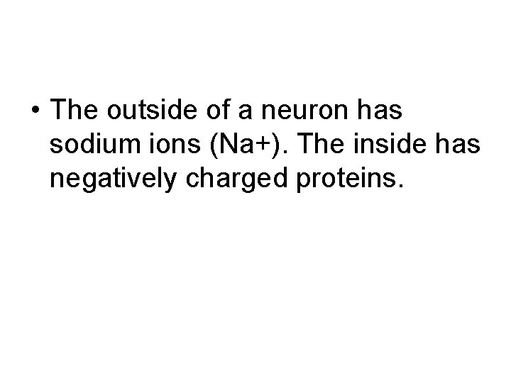  • The outside of a neuron has sodium ions (Na+). The inside has