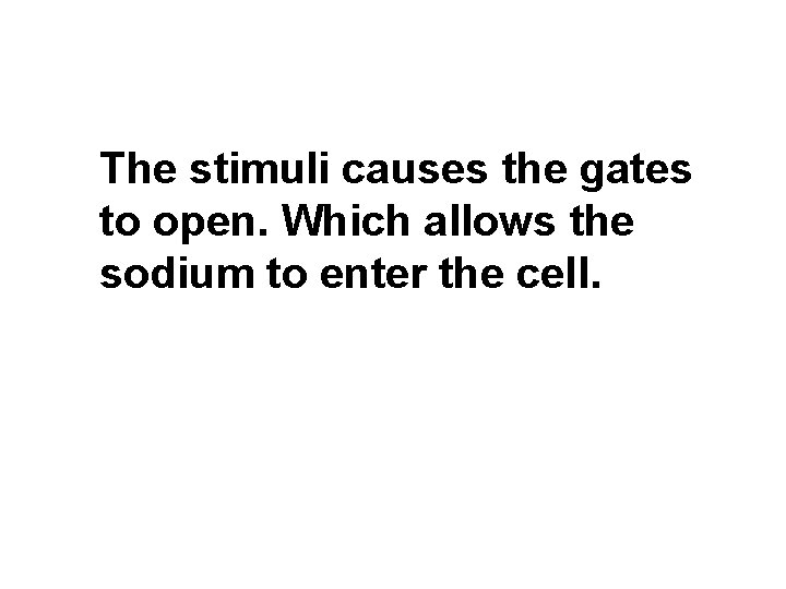 The stimuli causes the gates to open. Which allows the sodium to enter the