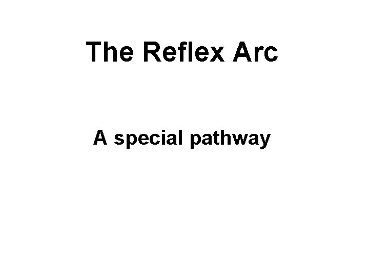 The Reflex Arc A special pathway 