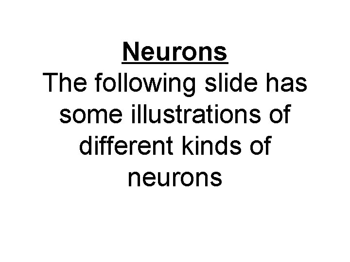 Neurons The following slide has some illustrations of different kinds of neurons 