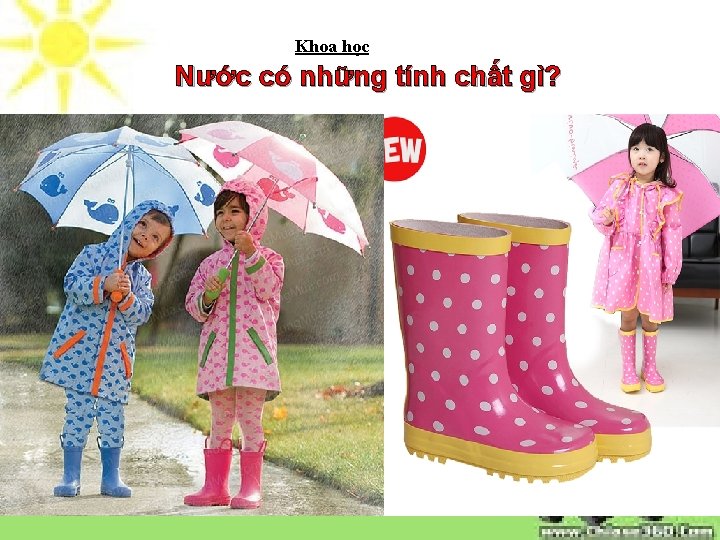 Khoa học Nước có những tính chất gì? 