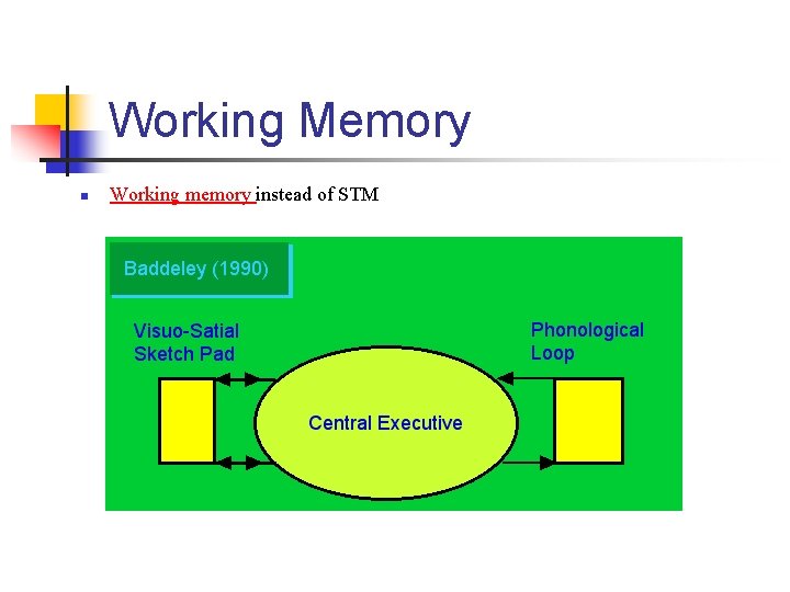 Working Memory n Working memory instead of STM 