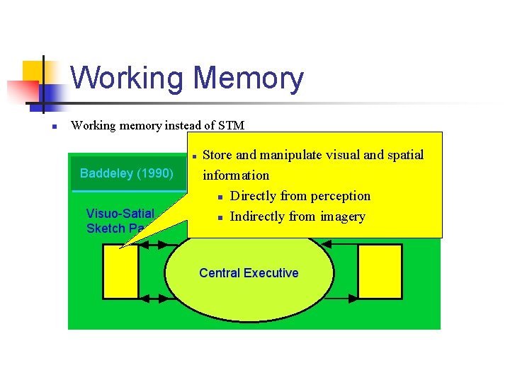 Working Memory n Working memory instead of STM n Store and manipulate visual and